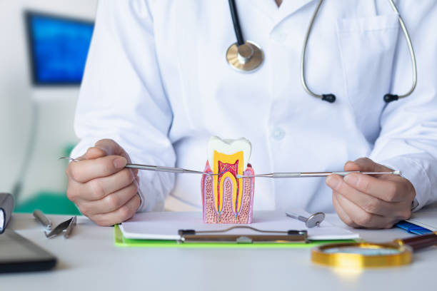 Best Emergency Broken Tooth Repair in Fort Totten, ND
